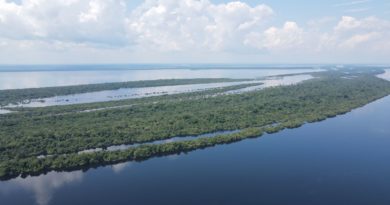 Plano de Ação da Reserva da Biosfera da Amazônia Central é lançado em webinário