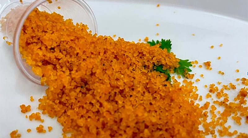 ‘Caviar amazônico’ se prepara para acessar mercado consumidor