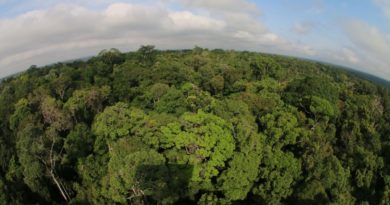 Amazonas adere à campanha global para zerar emissões de gases de efeito estufa até 2050