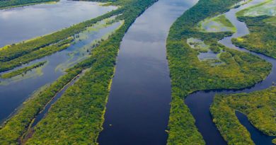 Com início da COP 26, governo do Amazonas apresenta suas estratégias para reduzir as mudanças climáticas