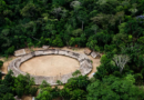 Terras indígenas são barreiras de proteção da floresta na Amazônia, diz Mapbiomas