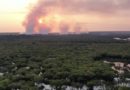 Incêndio de grandes proporções atinge Parque Nacional do Jaú, em Novo Airão, a mais de cinco dias