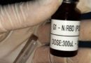 Vacina brasileira contra a covid-19 desenvolvida por pesquisadores da UFMG e Fiocruz começa a ser testada