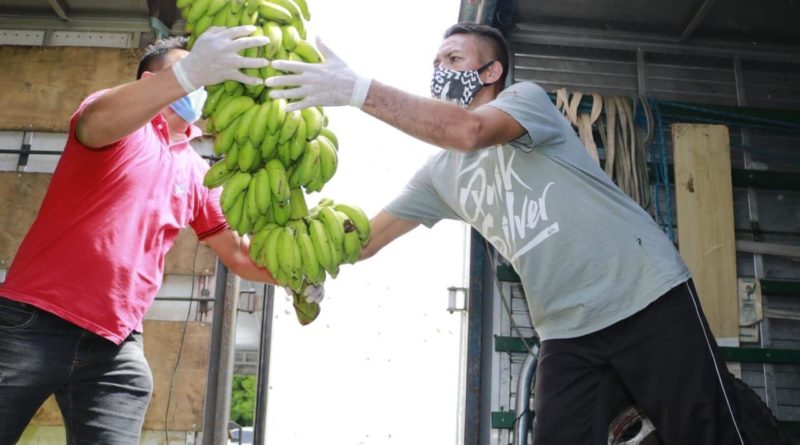 Foto: Divulgação/Sepror