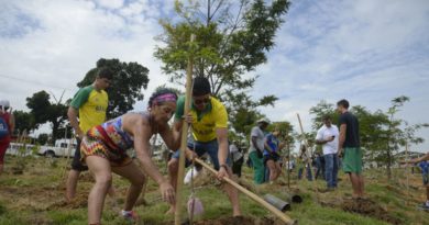 Foto: Divulgação/MMA