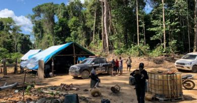 Foto: Divulgação/Semas/Pará