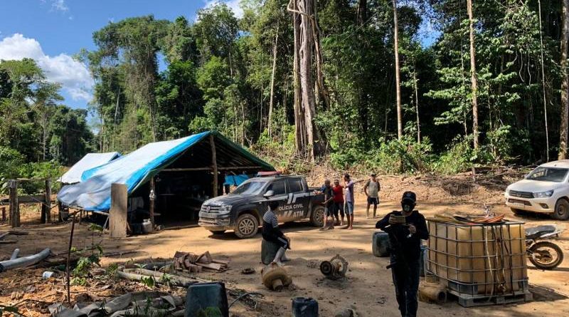 Foto: Divulgação/Semas/Pará