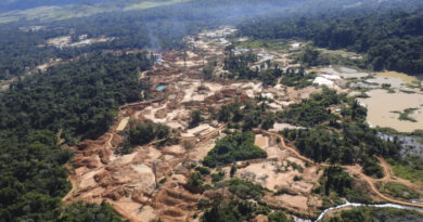 Foto: Divulgação/ISA