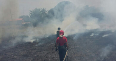 Foto: Divulgação/Corpo de Bombeiros