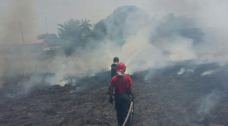 Foto: Divulgação/Corpo de Bombeiros