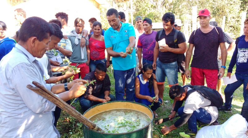 Foto: Divulgação/Inpa