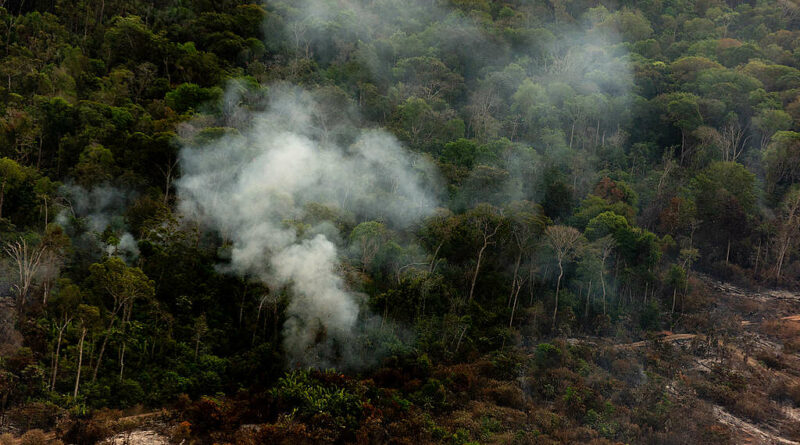 Foto: Christian Braga/Greenpeace