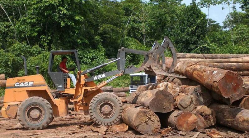 Foto: Divulgação/Agência Brasil