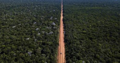 Foto: Divulgação/Agência Brasil