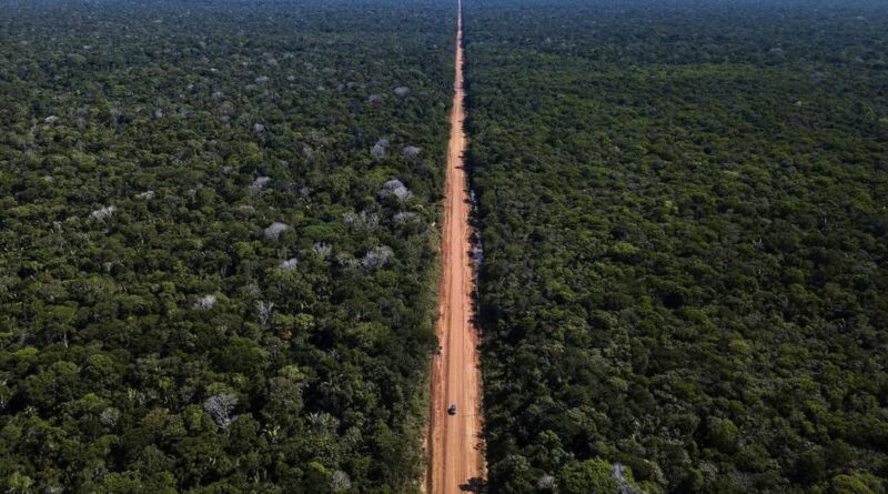 Foto: Divulgação/Agência Brasil