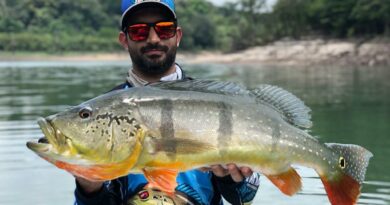 Foto: José do Mirante