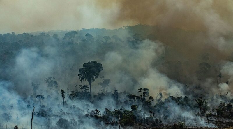 Foto: Divulgação