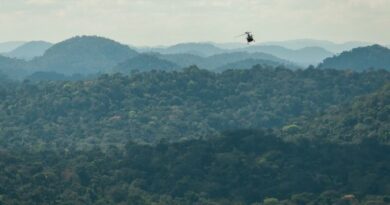 Foto: Divulgação/Ibama