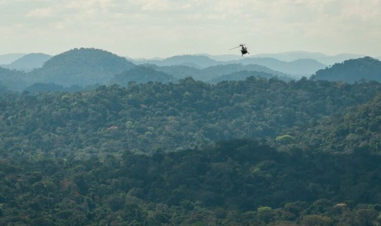 Foto: Divulgação/Ibama