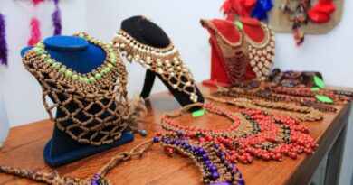 Foto: Amaury Moraes/FEI