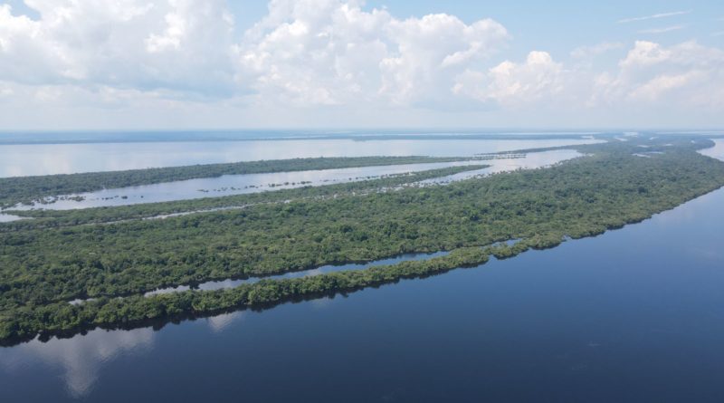 Plano de Ação da Reserva da Biosfera da Amazônia Central é lançado em webinário