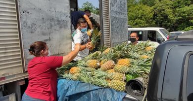 Os produtos são fornecidos por agricultores familiares da cidade de Manaus e entregues simultaneamente às entidades