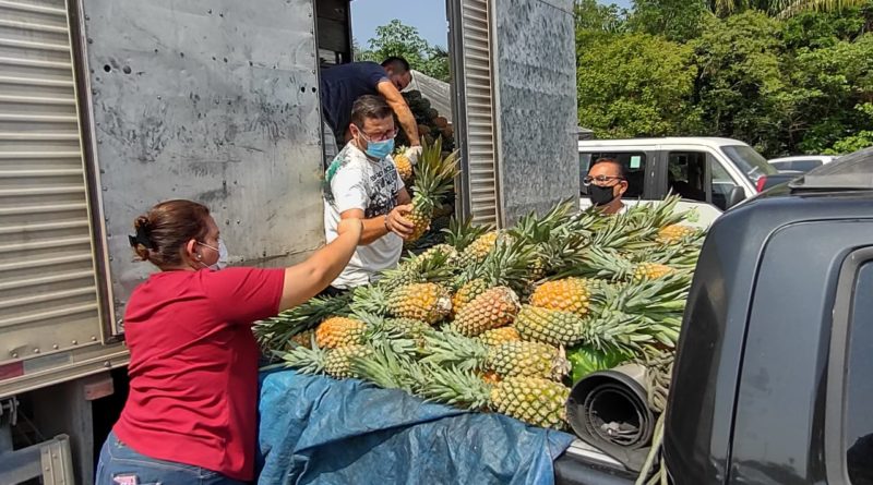 Os produtos são fornecidos por agricultores familiares da cidade de Manaus e entregues simultaneamente às entidades