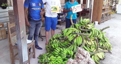 Em Fonte Boa, Idam assiste produtores na entrega de 30 toneladas de produtos agrícolas pelo Alimenta Brasil