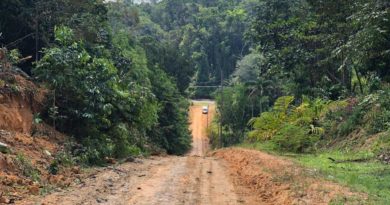 Governo do Amazonas inicia obra de pavimentação do Ramal das Flores, na BR-174