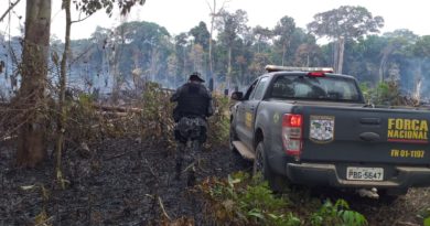 Em Humaitá, bombeiros militares combatem incêndio em área florestal durante operação Tamoiotatá
