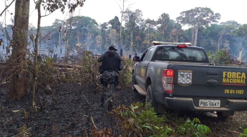 Em Humaitá, bombeiros militares combatem incêndio em área florestal durante operação Tamoiotatá