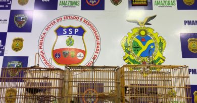 Agentes da Base Arpão apreendem pássaros silvestres, avaliados em R$ 60 mil, em embarcação oriunda do município de Cruzeiro do Sul (AC)