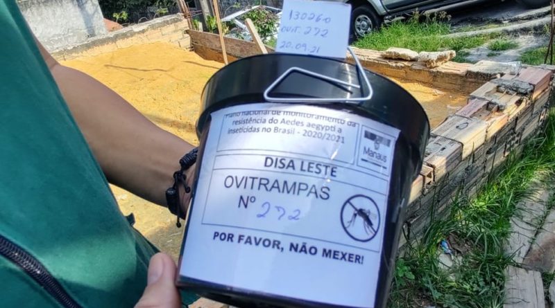 Amazonas integra ação para testar resistência do mosquito Aedes aegypti a inseticidas