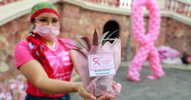 Pacientes oncológicas recebem mudas de plantas doadas pela prefeitura
