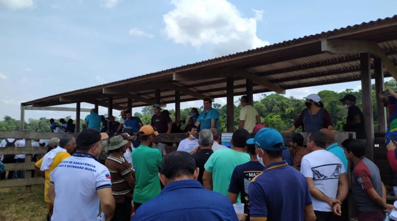 Idam realiza dia do campo voltado para para Criação de Bovinos em Itacoatiara