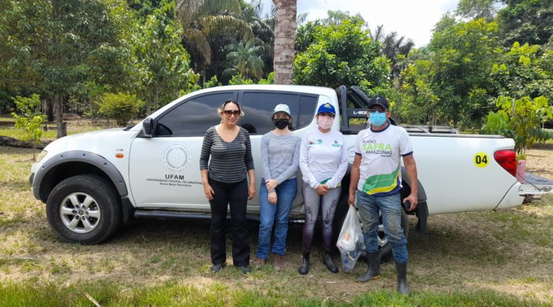 Governo do Amazonas investe na produção de sementes de malva em parceria entre Idam e Ufam