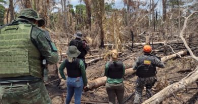 Amazonas fecha mês de setembro com queda de 36% no registro de queimadas
