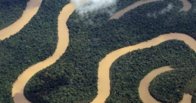 Resultado do estudo será decisivo para prosseguimento ou ao não do processo de concessão florestal em Maués