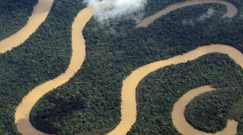 Resultado do estudo será decisivo para prosseguimento ou ao não do processo de concessão florestal em Maués