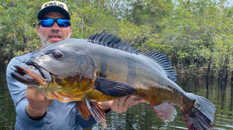 Em Barcelos, crescimento na movimentação de turística em busca de pesca esportiva aponta retomada da atividade