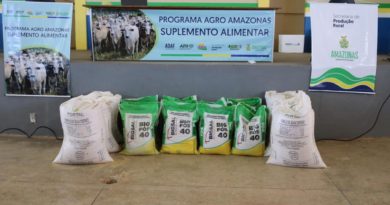 Pecuaristas dos municípios de Manaquiri e Boa Vista do Ramos são beneficiados com suplemento alimentar animal