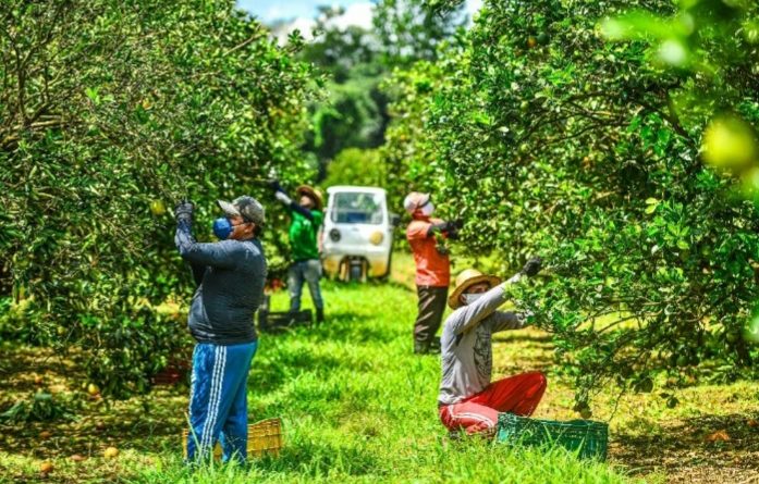 Fazenda Progresso, em Rio Preto da Eva