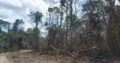 Área com mais de 39 mil hectares é embargada durante operação Tamoiotatá em Apuí
