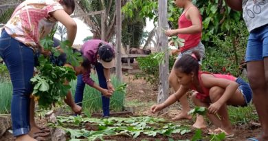 Mulheres protagonizam oficina de transição agroecológica em Apuí, sul do Amazonas