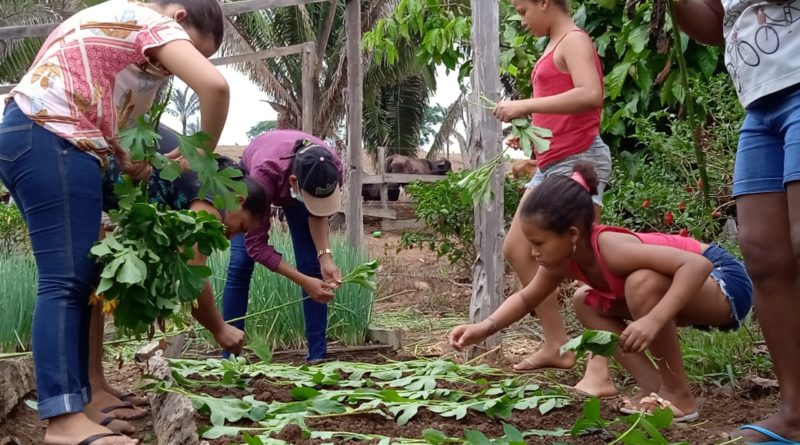 Mulheres protagonizam oficina de transição agroecológica em Apuí, sul do Amazonas