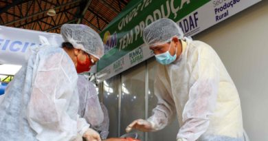 Idam e Sebrae realizam cursos de beneficiamento de pescado para produção de linguiça e fishburguer