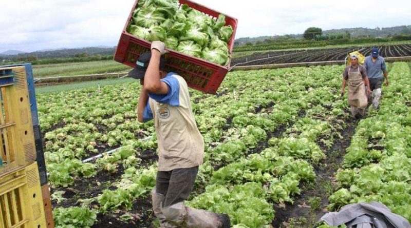 Prorrogação da dispensa de licenciamento ambiental para pequeno produtor segue para sanção do governador