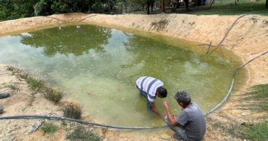 Prefeitura e governo do Estado distribuem 20 mil alevinos a quatro polos da zona rural