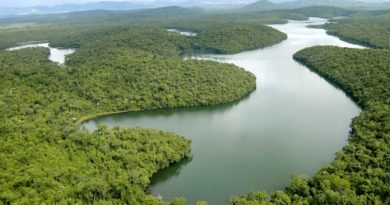 Governo lança programa verde há poucos dias de conferência do Clima da ONU