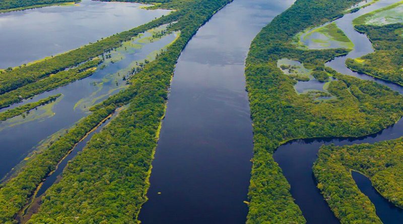 Com início da COP 26, governo do Amazonas apresenta suas estratégias para reduzir as mudanças climáticas
